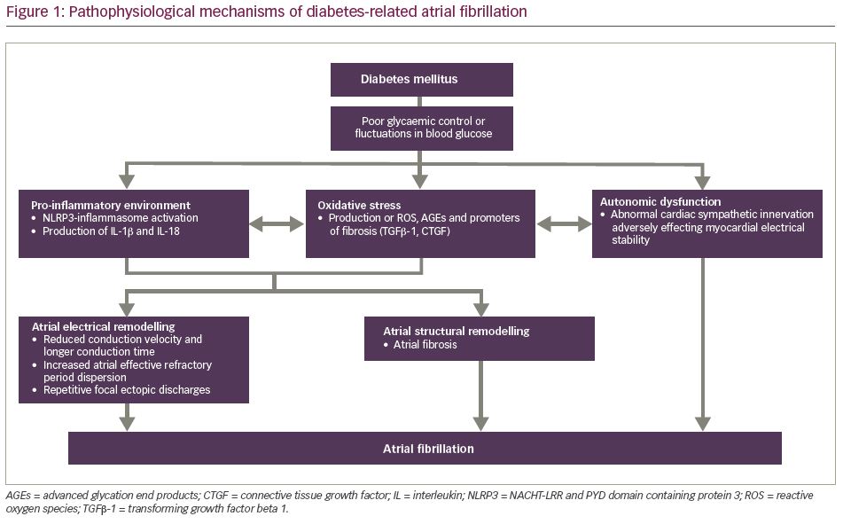 diabetes mellitus glycemic control and risk of atrial fibrillation