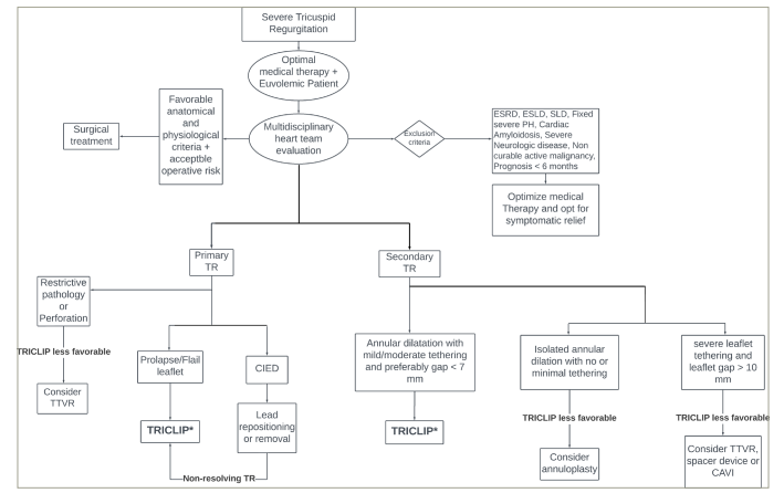 Figure 1: Proposed algorithm to guide transcatheter tricuspid valve intervention device selection
